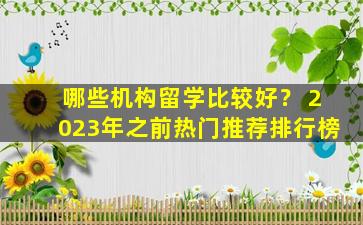 哪些机构留学比较好？ 2023年之前热门推荐排行榜